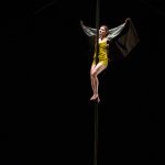 Photo du spectacle - "Tempus fugit ? une ballade sur le chemin perdu" Yves Petit, Cirque Plume 2013