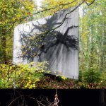 Le fusain de Charles Belle, en forêt et en spectacle Yves Petit (photo spectacle)